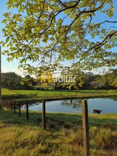 Vendo 12 hectares dentro da cidade na Estrada Dias Martins