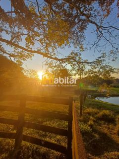 Vendo 12 hectares dentro da cidade na Estrada Dias Martins
