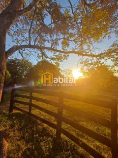 Vendo 12 hectares dentro da cidade na Estrada Dias Martins