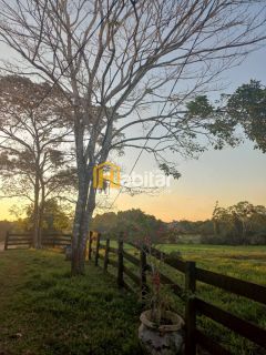 Vendo 12 hectares dentro da cidade na Estrada Dias Martins