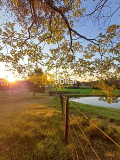 Vendo 12 hectares dentro da cidade na Estrada Dias Martins