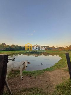 Vendo 12 hectares dentro da cidade na Estrada Dias Martins