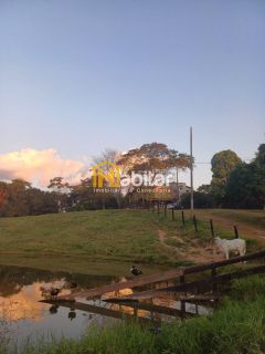 Vendo 12 hectares dentro da cidade na Estrada Dias Martins