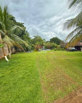 Chácara Para Alugar com 3 quartos no bairro Custódio Freire  em Rio Branco