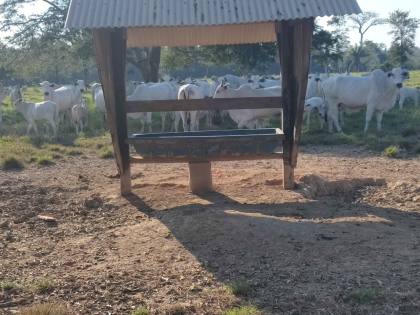 Fazenda Para Vender com 405 Hectares no Acre