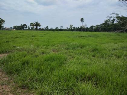 Fazenda Para Vender com 405 Hectares no Acre