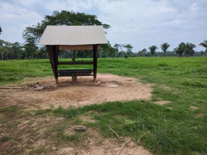 Fazenda Para Vender com 405 Hectares no Acre