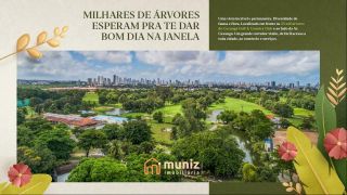 Parque das Palmeiras