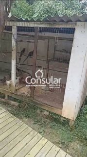 Sítio Para Vender com 03 quartos no bairro Lofferscheindt em Águas Mornas