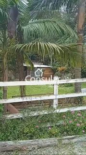 Sítio Para Vender com 03 quartos no bairro Lofferscheindt em Águas Mornas