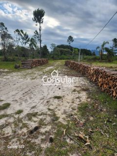 Sítio Para Alugar com 3 quartos no bairro MASSIAMBU PEQUENO em Palhoça