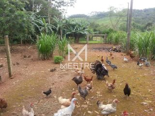 CHÁCARA / SÍTIO PORTO BELO SC