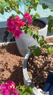 Viva no Topo da Vitória: Studio de Luxo com Rooftop e Vista Panorâmica!