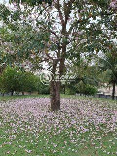 Casa 4/4 nascente na Estrada do Coco à venda