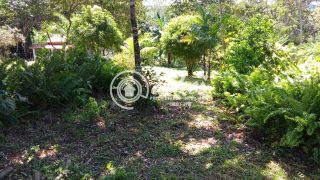 Sítio em Monte Gordo Camaçari