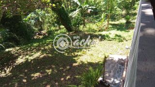 Sítio em Monte Gordo Camaçari