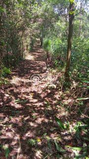 Sítio em Monte Gordo Camaçari