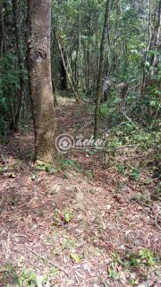 Sítio em Monte Gordo Camaçari