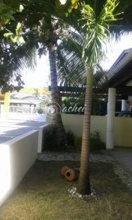 Casa de Condomínio 4/4 nascente à venda em Buraquinho