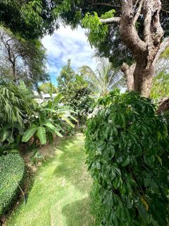 Casa de Alto Padrão à Venda em Busca Vida