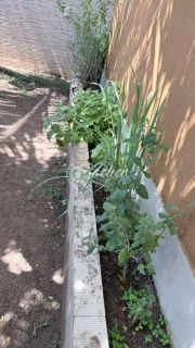 Casa nascente 4/4 no Alphaville Litoral Norte II