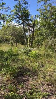 Terreno à venda em Busca Vida