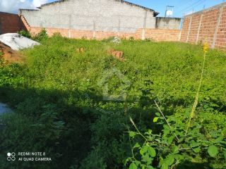 Lote murado em General Maynard