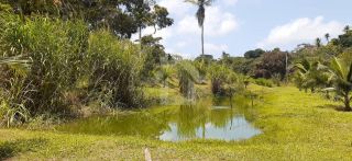 Lindo Sitio São Cristóvão