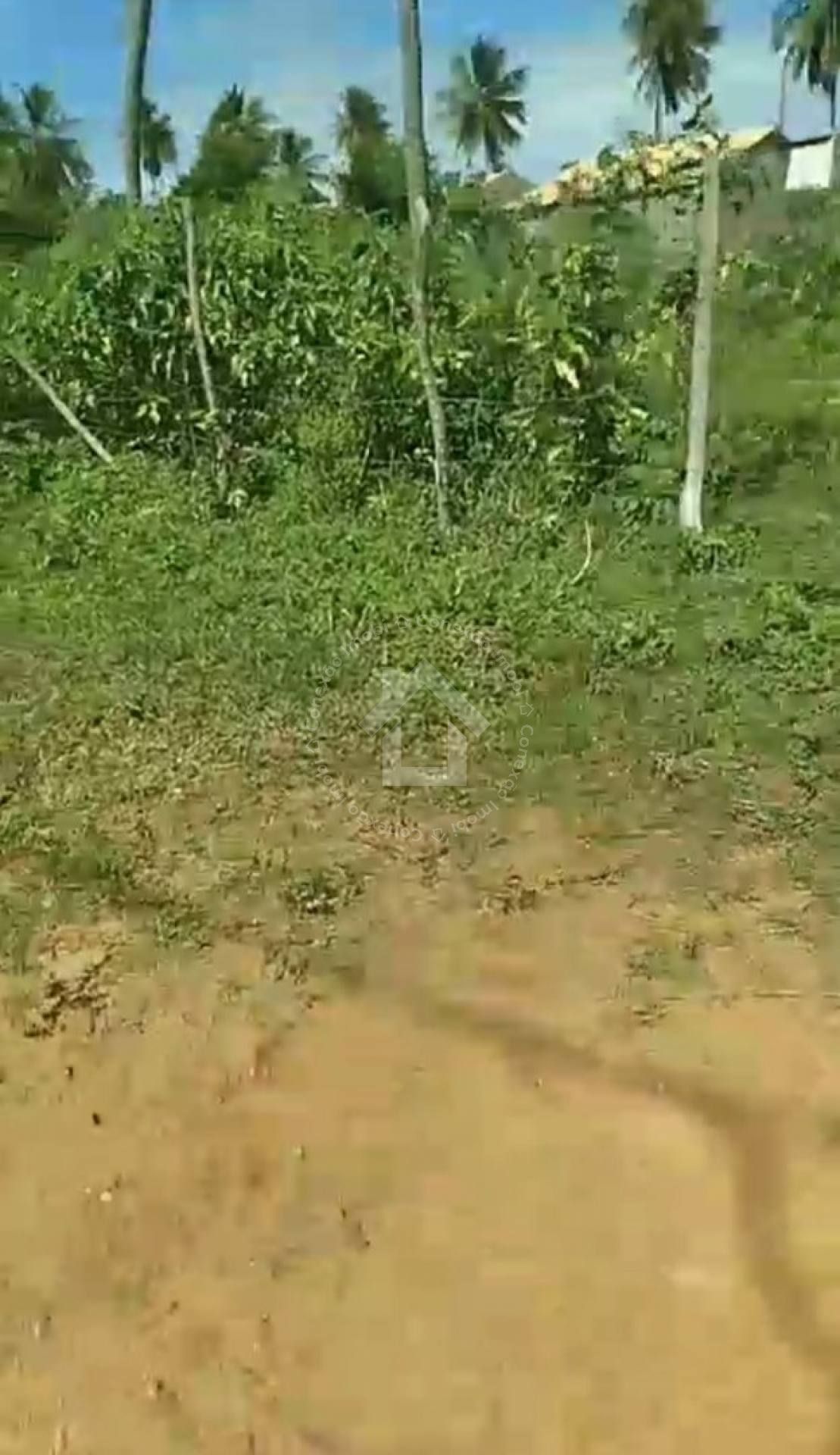 Terrenos no Mosqueiro 500m² (Loteamento Santa Clara)