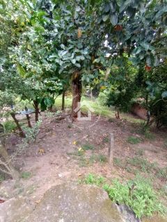 Sítio à venda - São Cristovão | 3 quartos