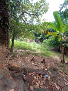 Sítio à venda - São Cristovão | 3 quartos