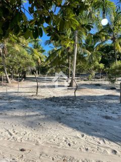 VENDE-SE Terreno em Pirambu-SE 15x40m²