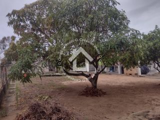 Chácara com 2187m² em Areia Branca/Mosqueiro