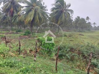 Vende-se Terreno na Praia da Caueira