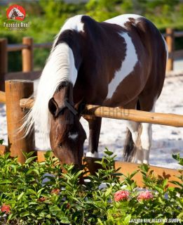 Lote no CONDOMÍNIO FAZENDA REAL RESIDENCE 1 - Próximo da Caueira e do Abaís