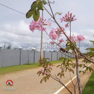 Lote no Condomínio Fazenda Real Residence 1
