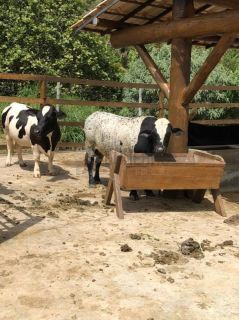 Lote no Condomínio Fazenda Real Residence 1