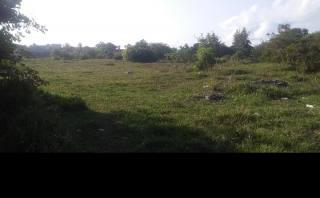 Terreno  no mosqueiro escriturado