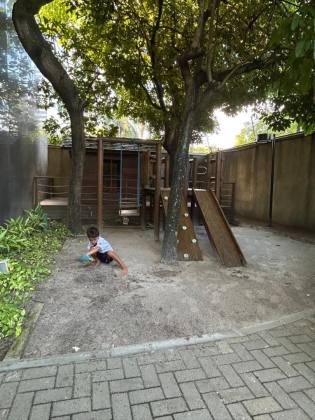 Edf. Maria Tereza Coelho