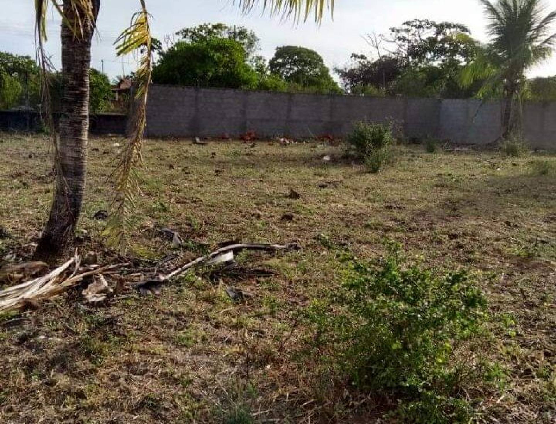 Terrenos para venda em Matapuã, Mosqueiro, Aracaju-SE