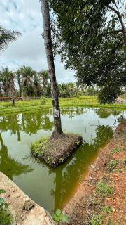 Sítio à Venda no bairro Todos os Santos em Teresina - PI
