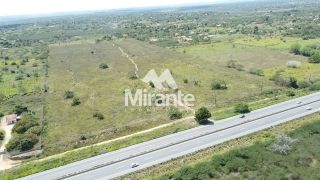 Terreno Comercial Para Vender na BR 116 Norte em Feira De Santana