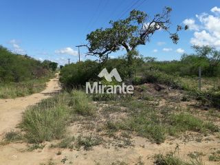 Terreno Comercial Para Vender na BR 116 Norte em Feira De Santana