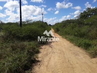 Terreno Comercial Para Vender na BR 116 Norte em Feira De Santana