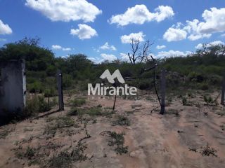 Terreno Comercial Para Vender na BR 116 Norte em Feira De Santana