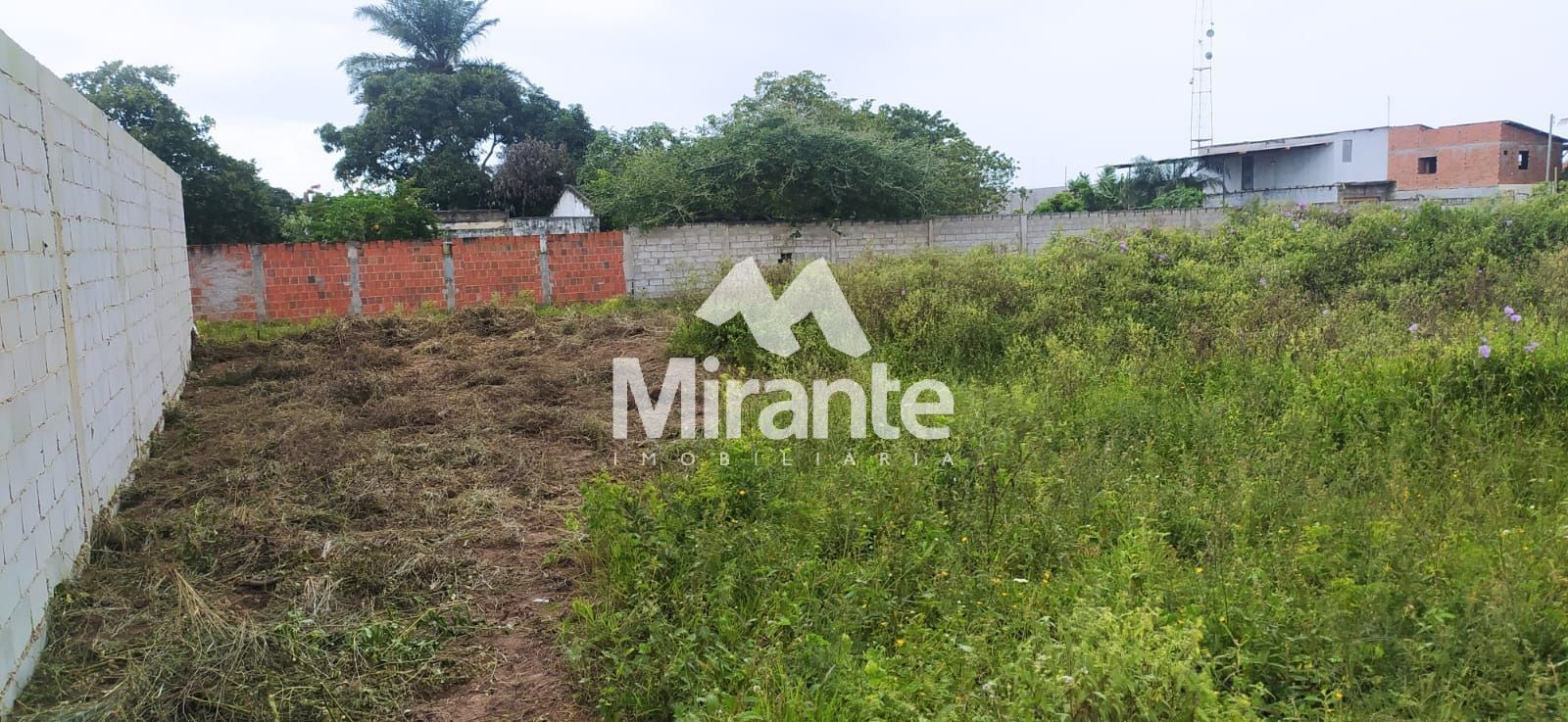 Lote / Terreno de Bairro Para Vender no bairro Papagaio em Feira De Santana