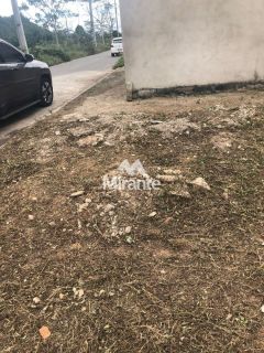 Lote / Terreno de Bairro Para Vender no bairro Santo Antônio dos Prazeres em Feira De Santana