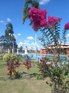 Lote / Terreno de Bairro Para Vender no bairro Registro em Feira De Santana