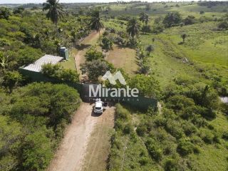 Sítio Para Vender no bairro Zona Rural em Conceição Do Jacuípe