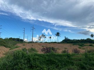 Lote / Terreno Comercial Para Vender no bairro BR 324 em Feira De Santana